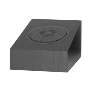 Home audio speakers1